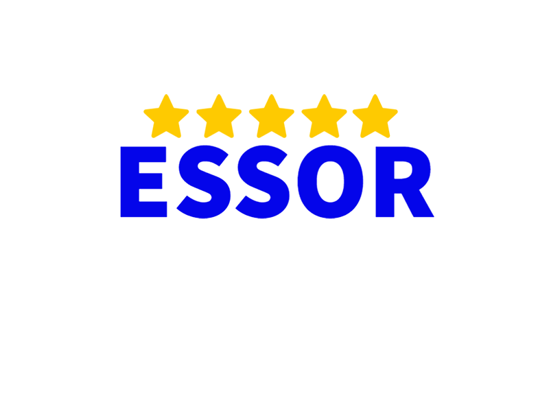 Essor Gestion Logo